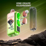 Airmez XBeats 40000 Puffs Disposable Vape - KIWI GRAPE RASPBERRY