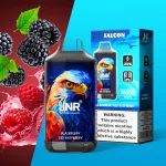 JNR Falon 16000 16k Puffs – Disposable Vape - Blackberry Red Raspberry