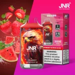 JNR Falon 16000 16k Puffs – Disposable Vape - Strawberry Watermelon Ice