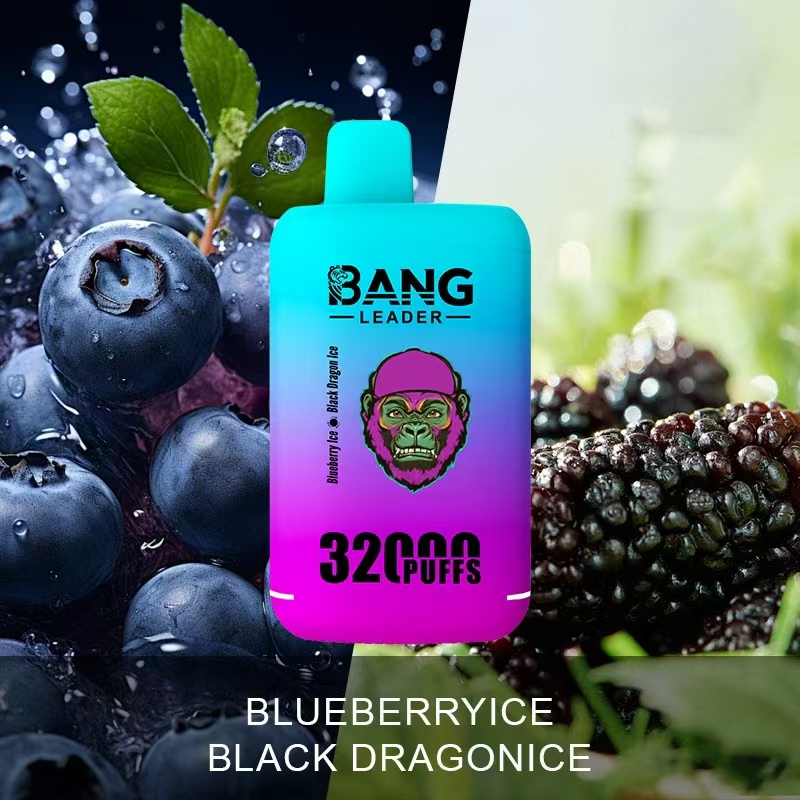 Puff 32k Bang Leader 32K Vape - Blueberry Ice & Black Dragon Ice