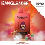 bang-leader-32k-6