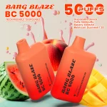 Bang Blaze BC5000 E Cigarette Vape - Peach Mango Watermelon