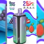 Best-Vape-Trends-2026-Germany-Bang-King-Vozol