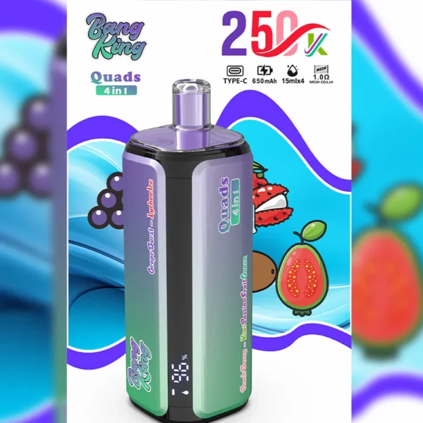 Best-Vape-Trends-2026-Germany-Bang-King-Vozol