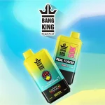 bang-king-50000-50k-puffs-main-image.jpg (1)