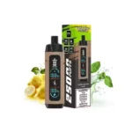 bang-king-e-shisha-25000-shisha-lenmon-mint