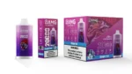 bang-leader-20000-puffs-flavor-grape-ice