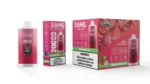 bang-leader-20000-puffs-flavor-watermelon-ice
