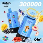 bang-leader-300k-puffar-energy-drink-peach-ice-mango-ice-goji-berry-blackcurrant-mamba