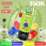 bang-leader-350000-350k-puffs-berry-ice-fruit-ice-citrus-mixed-fruit