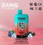 Bang Leader 45K | 45.000 Züge 2-in-1 Vape – Bang Leader kaufen – Bild 12