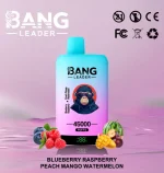 bang-leader-45000-45k-puffs-blueberry-raspberry-peach-mango-watermelon-654x690