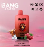 bang-leader-45000-45k-puffs-cola-ice-cherry-cranberry-654x690