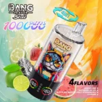 bang-leader-stoll-100k-100000-puffs-lemon-lime-watermelon-ice-black-dragon-ice-dragon-fruit-strawberry-love-666