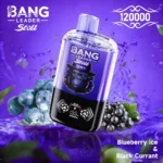 bang-leader-stoll-120k-120000-puff-blueberry-ice-black-currant