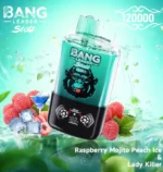 Bang Leader 120K – Bang Vape 120000 Puff Einweg Vape – Bild 6