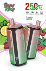 puff-250k-bang-king-250000-puffs-disposable-vape-4-in-1-flavors-2026-new-vape-9