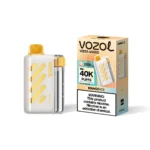 vozol-vista-40000-mango-ice