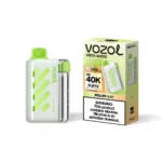 vozol-vista-40000-melon-gum