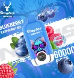 stagbar-nexus-60000-60k-puffs-blueberry-raspberry-ice