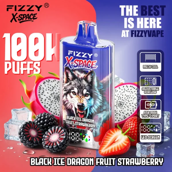 Fizzy X Space Black Disposable Vape