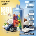 Fizzy X Space Blueberry Disposable Vape