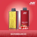 Watermelon Ice Jnr Mega Disposable Vape
