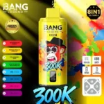 Bang Legend 300k Puffs Disposable Vape variant 2