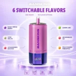 Bang King 360k 6in1 Disposable Vape variant