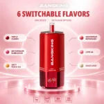 Bang King 360k 6in1 Disposable Vape image