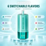 Bang King 360k 6in1 Disposable Vape detail 2