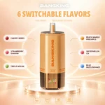 Bang King 360k 6in1 Disposable Vape design 2