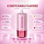 Bang King 360k 6in1 Disposable Vape view 2