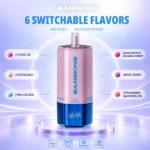 Bang King 360k 6in1 Disposable Vape variant 2