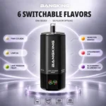 Bang King 360k 6in1 Disposable Vape
