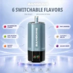 Bang King 360k 6in1 Disposable Vape detail