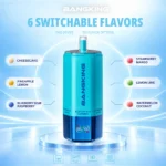 Bang King 360k 6in1 Disposable Vape design