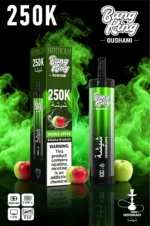 Bang King Shisha 250k Disposable Vape detail 2