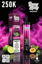 Bang King Shisha 250k Disposable Vape detail 3