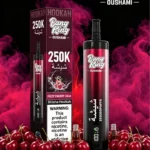 Bang King Shisha 250k Disposable Vape view 3