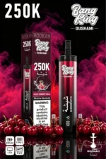 Bang King Shisha 250k Disposable Vape view 3