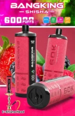 Bang King Shisha Puffs Disposable Vape view