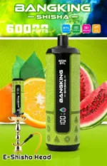 Bang King Shisha Puffs Disposable Vape detail 2