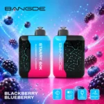 Bangde 60k Blackberry Blueberry Disposable Vape