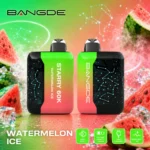 Bangde 60k Watermelon Ice Disposable Vape